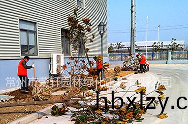 常州綠化養(yǎng)護(hù)|百科