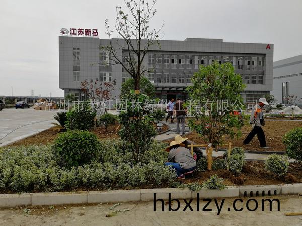 常州新馬干燥施工