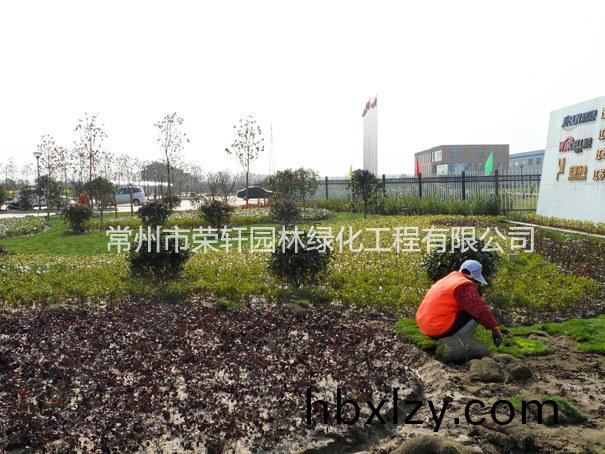 兆勝集團(tuán)施工