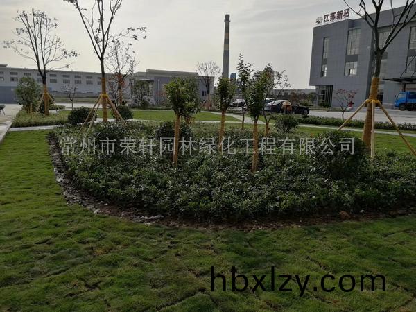 常州新馬干燥施工