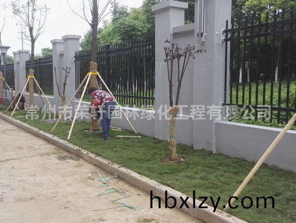 格瑞空調(diào)施工