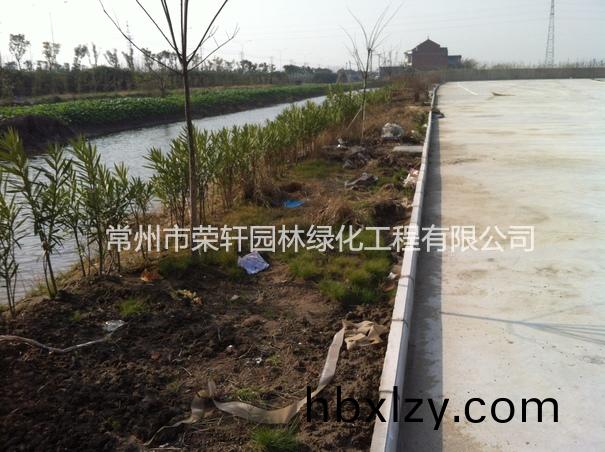 兆勝集團(tuán)施工