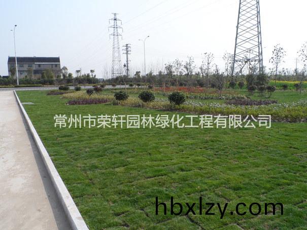 兆勝集團(tuán)施工