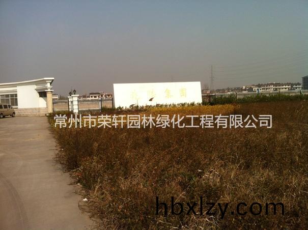 兆勝集團(tuán)施工