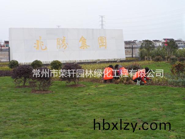 兆勝集團(tuán)施工