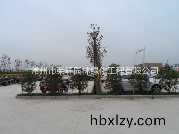 兆勝集團(tuán)施工