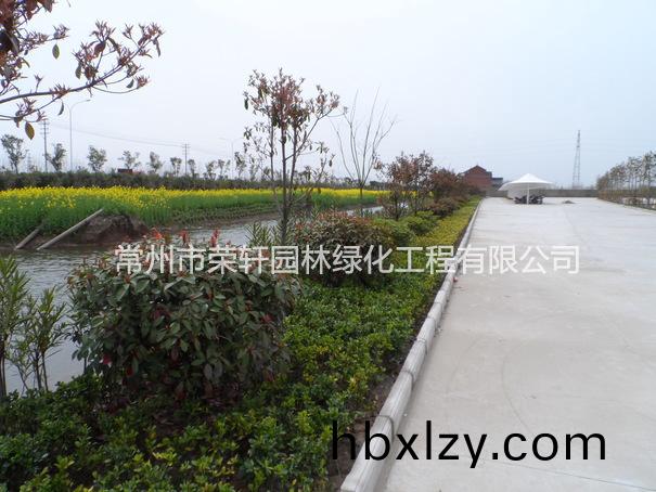 兆勝集團(tuán)施工