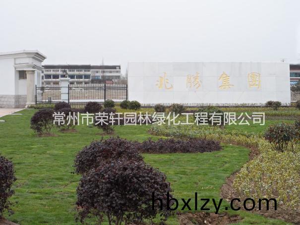 兆勝集團(tuán)施工