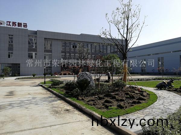 常州新馬干燥施工