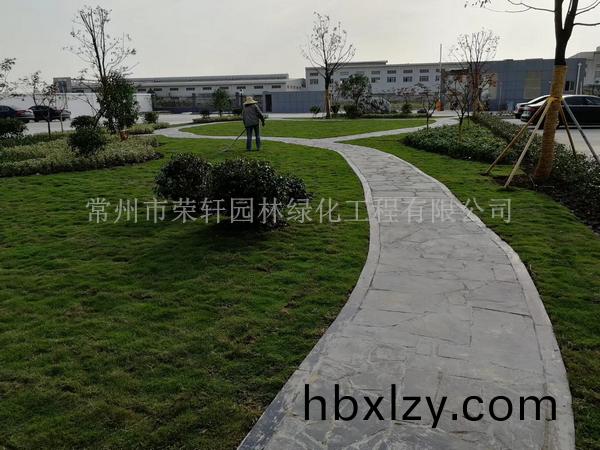 常州新馬干燥施工