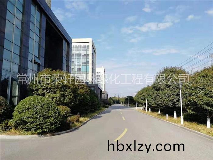 常州新譽(yù)集團(tuán)養(yǎng)護(hù)