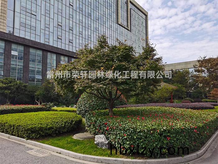 常州新譽(yù)集團(tuán)養(yǎng)護(hù)